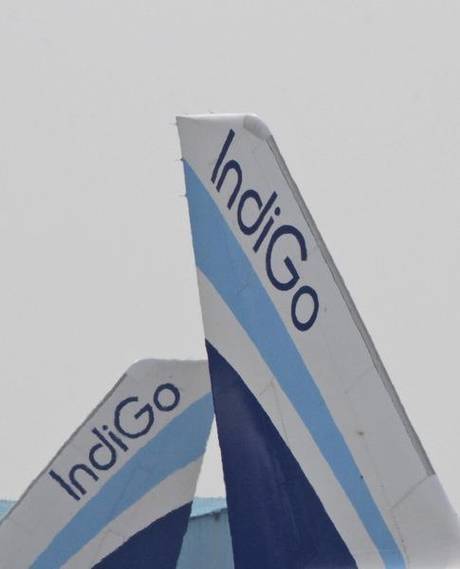 Indigo Airbus