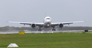 Picture of sinagapore airlines airliner landing